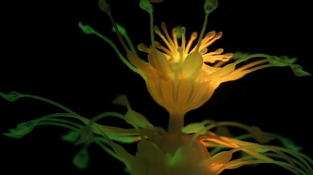 What 4D prints can do might surprise you