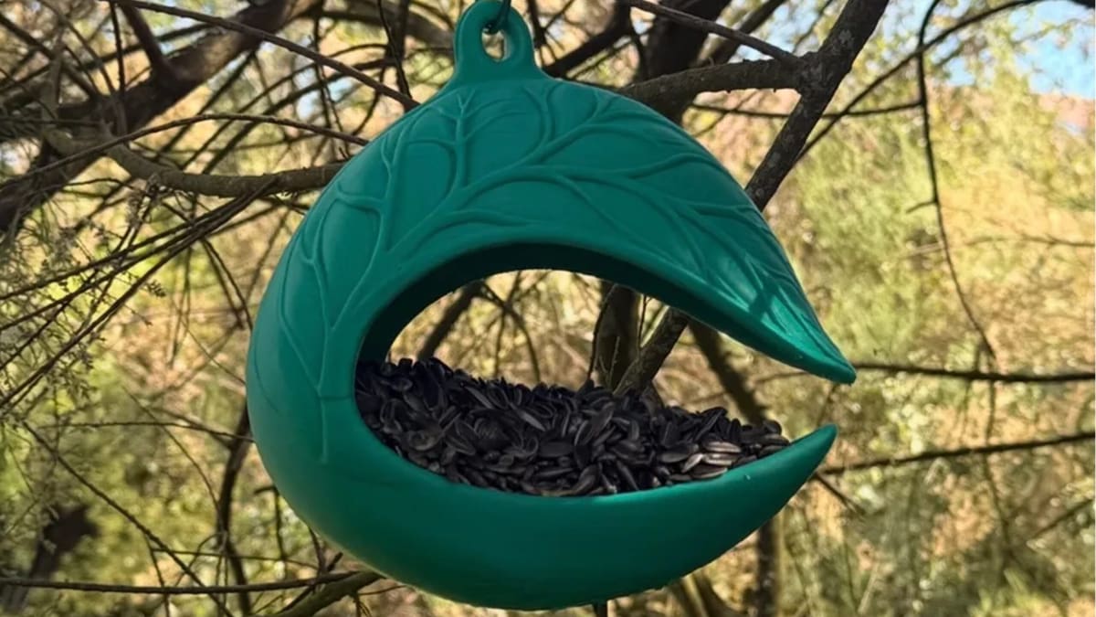 Image of: Leaf Nest Bird Feeder