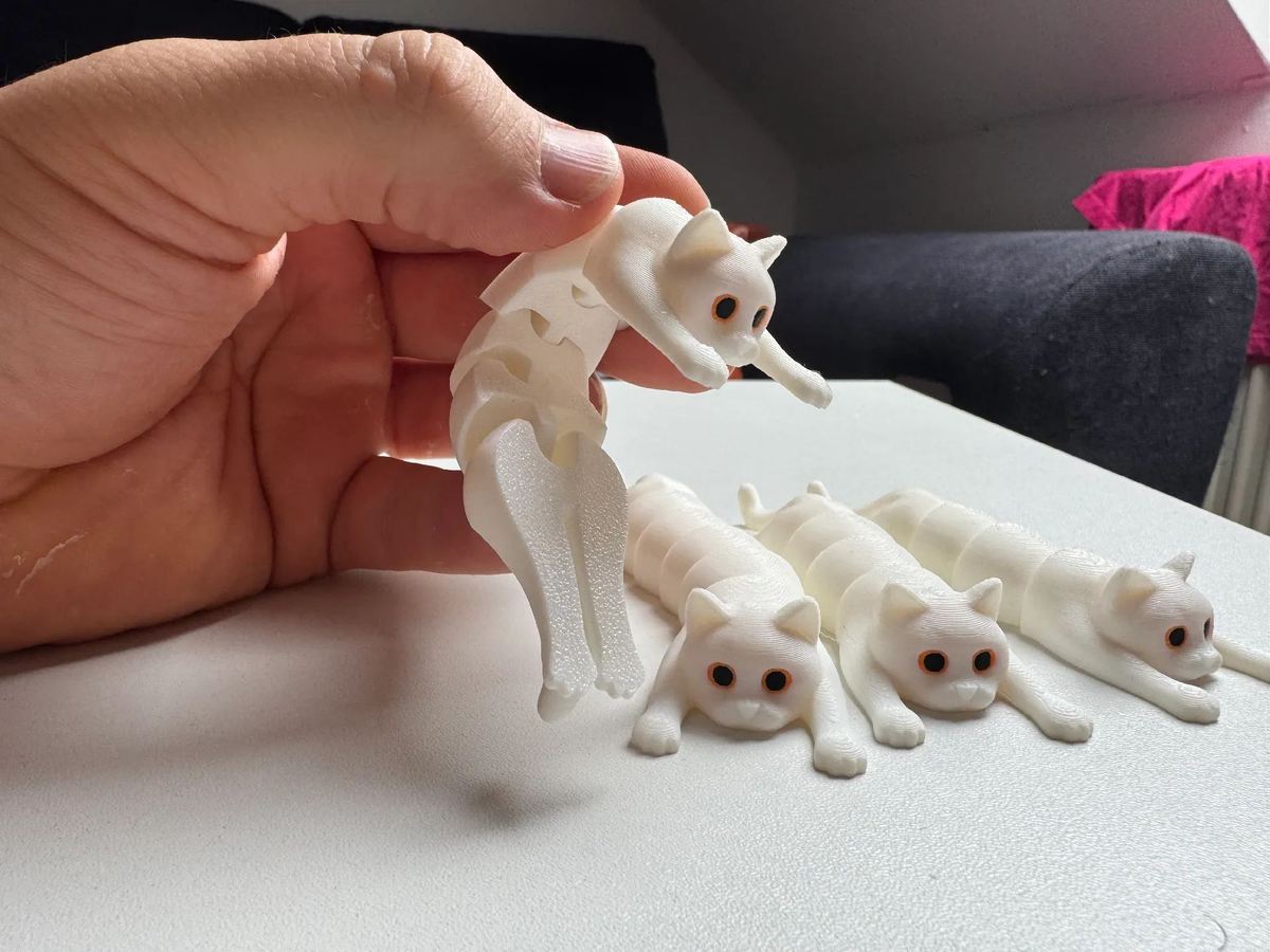 Image of: Flexi Holding Cat