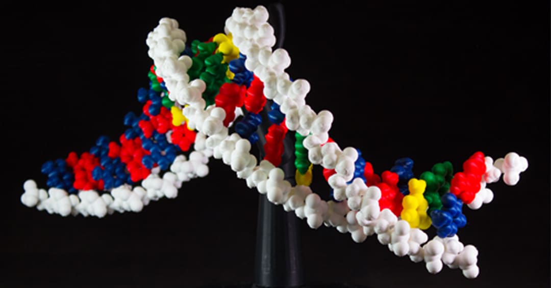 I'm pretty sure DNA is smaller
