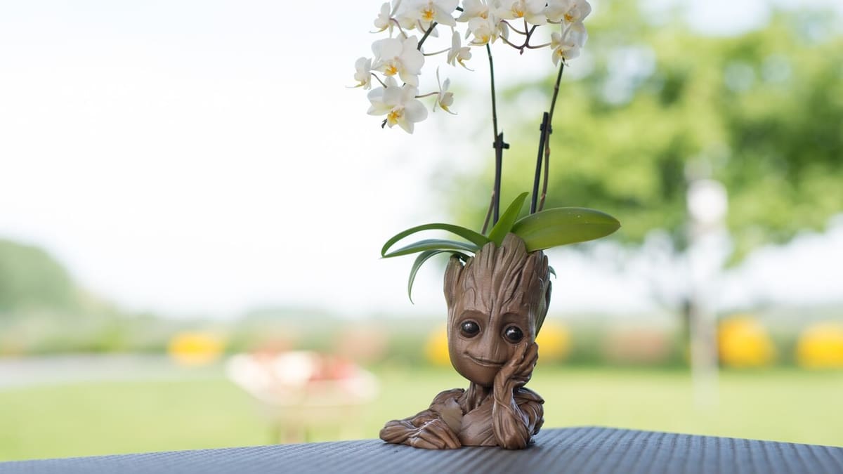 These plants are sure to grow