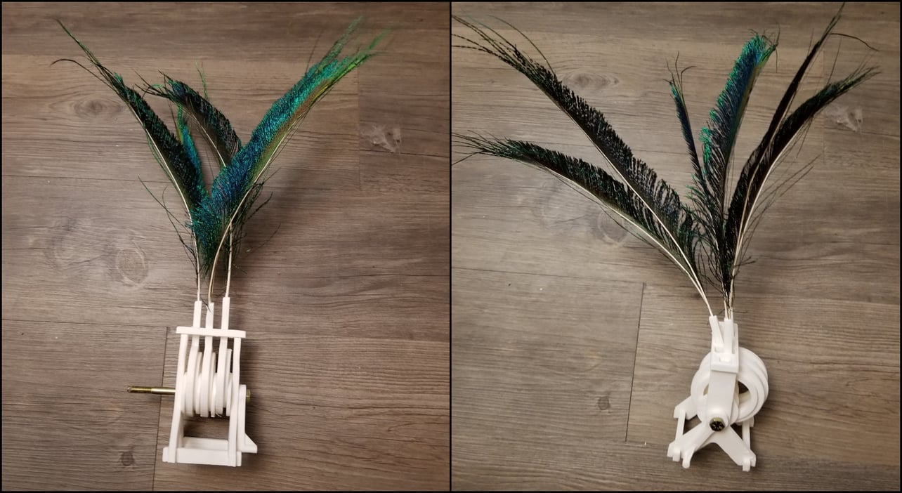How to Paint a Feather : 7 Steps (with Pictures) - Instructables