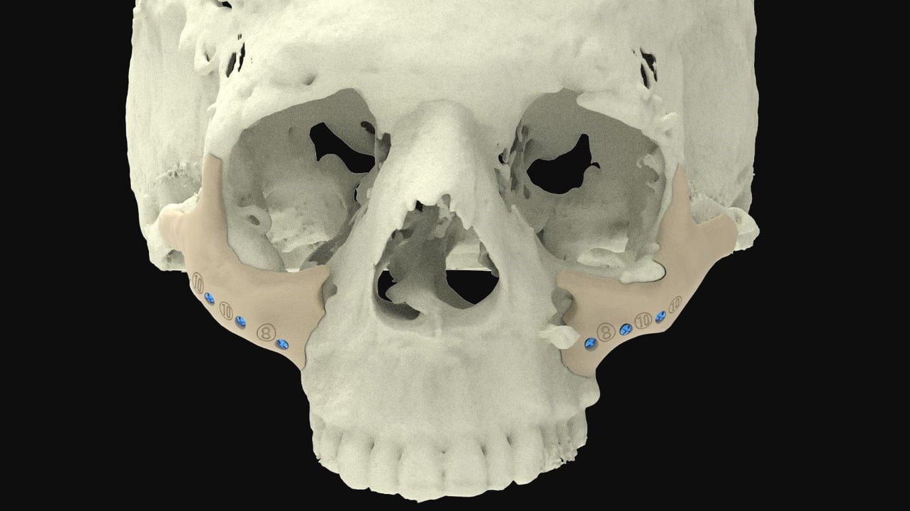 Scientists create 3D-printed copy of living rat's skeleton