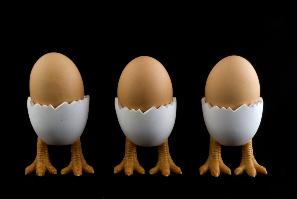 $2,500 3D Printed Chicken Prosthetic for Cecily the Hen | All3DP
