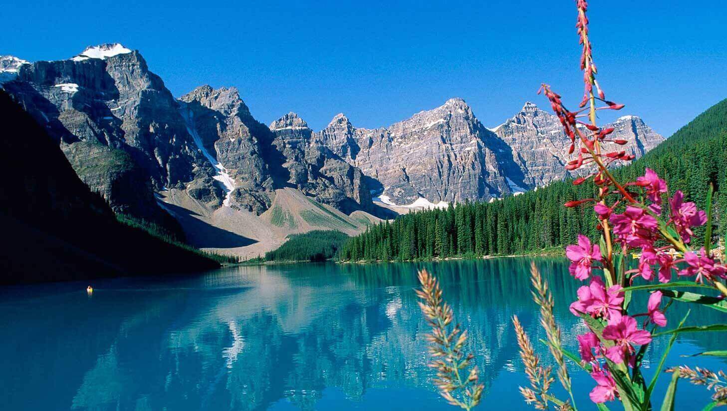 洋書 The CANADIAAN Rockies Parkways of the Canadian Rockies: Brian Patton