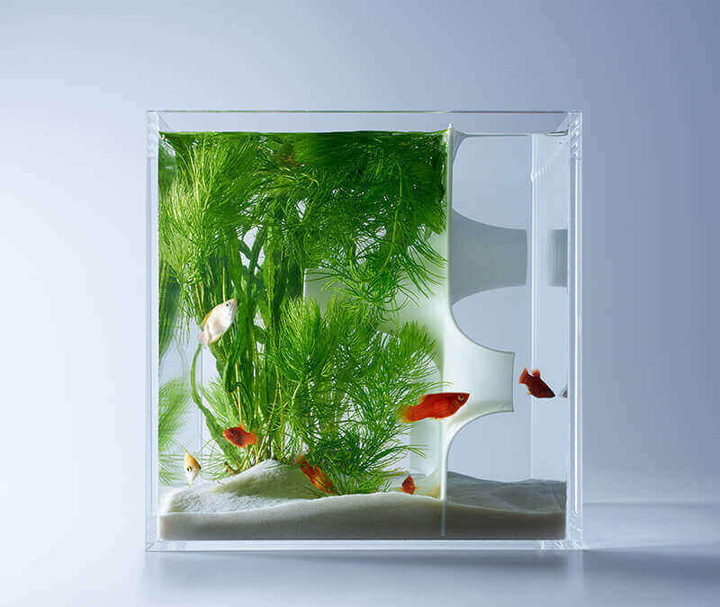 3d printed aquarium decorations