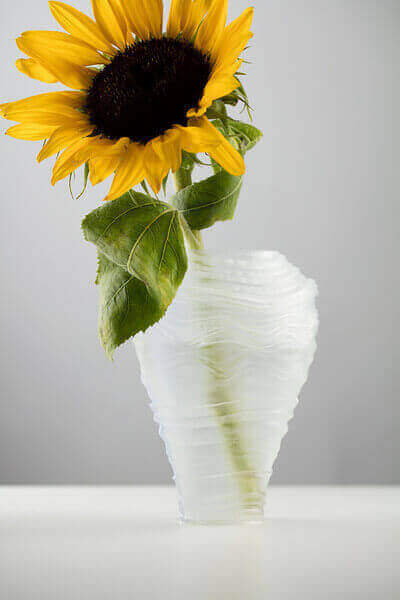 3D Printing Heart Vase  : Vase Ideal For Valentine�s Day Gift, Measures Approx.