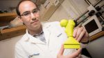 Featured image of US Surgeons Optimize Surgery Prep with 3D Printed Femurs