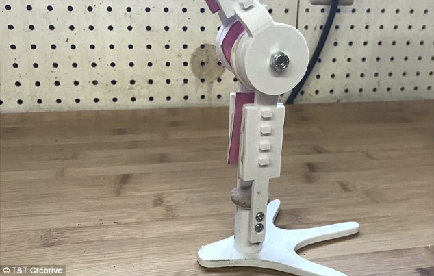 Peacock Gets 3d Printed Prosthetic Leg From Random Reddit User All3dp