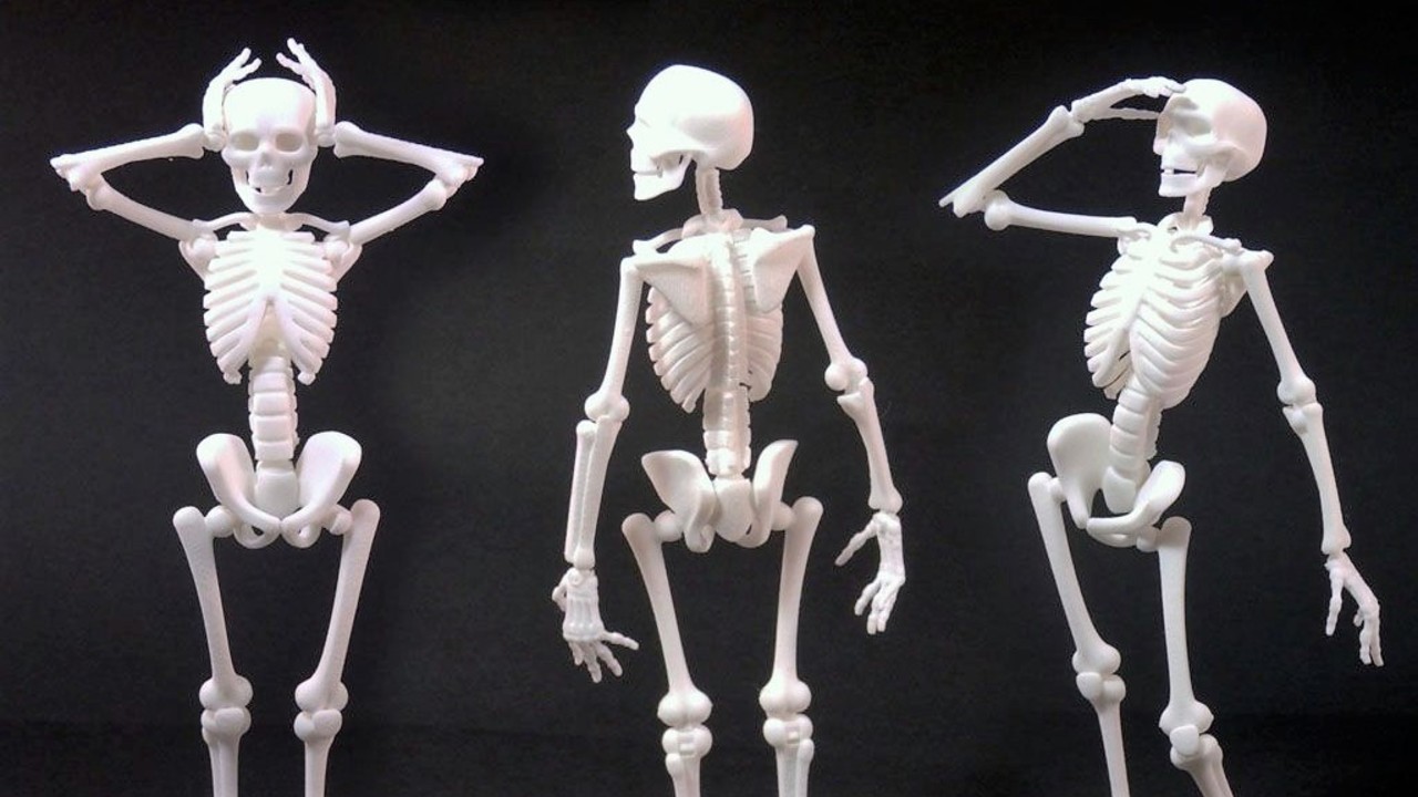 Skeleton Minitures 3d Models