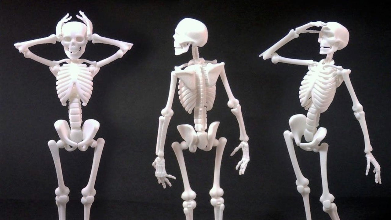 Skeleton Minitures 3d Models