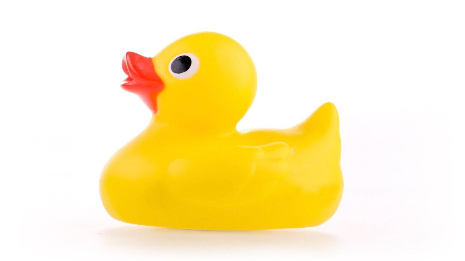 Help Break a Record and 3D Print a Part of a 6-Foot Duck | All3DP