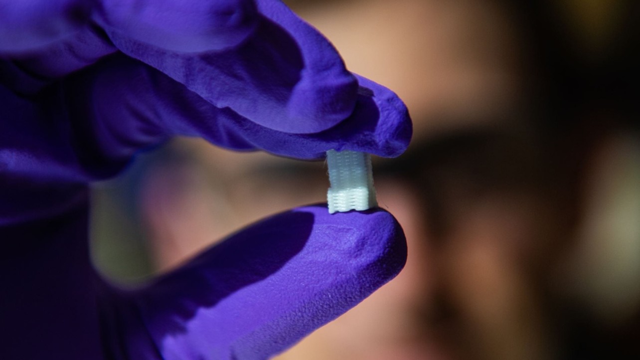 Bioscientists Develop 3D Printed Artificial Tissues to Help Heal Bone