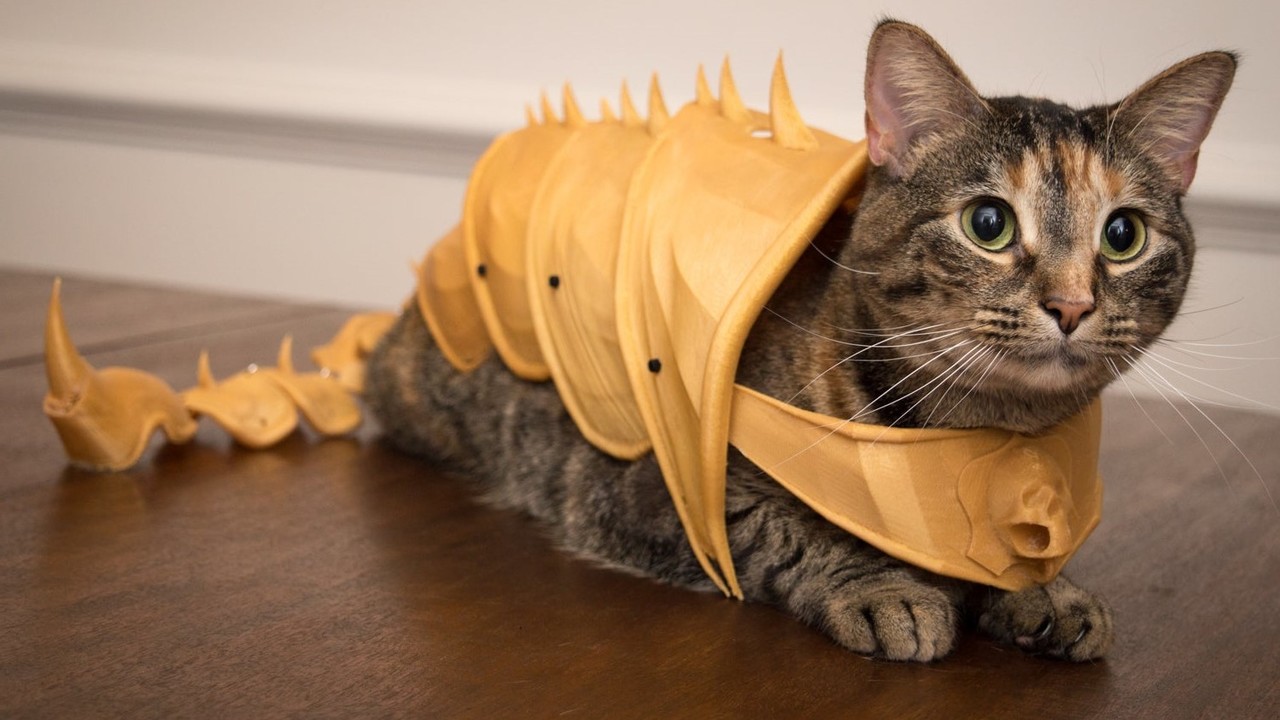 3d Printable Cat Toys